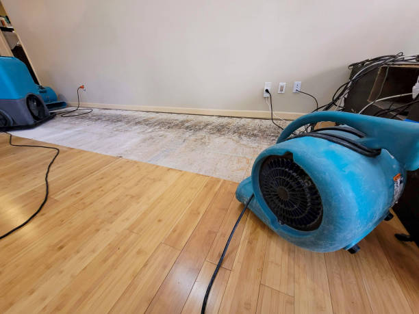 Professional Emergency Water Damage technician working in San Pedro, CA